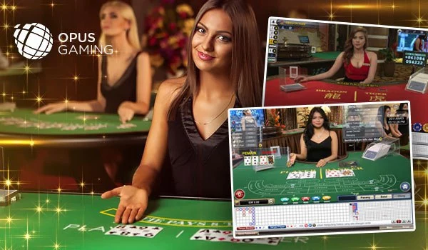 kubet kubet